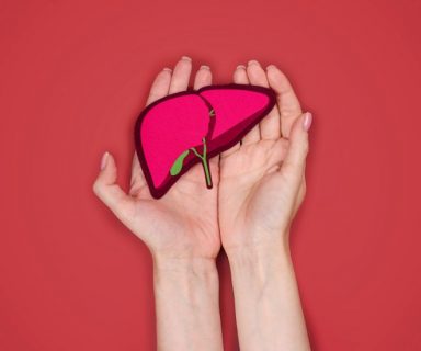 Two hands holding a model of a liver, against a red background.